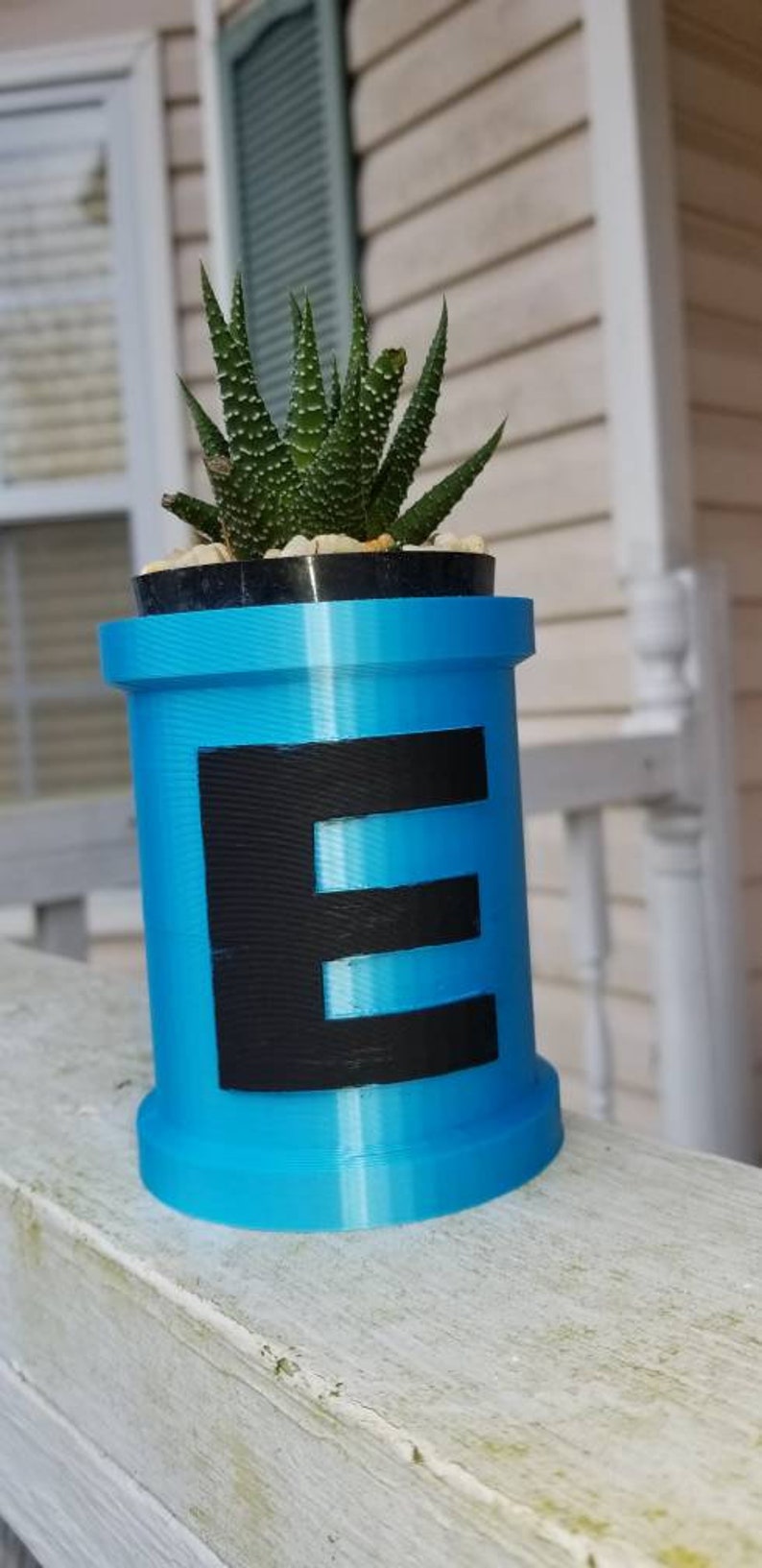May include: A blue 3D printed planter with a black letter "E" on the front. The planter is filled with a small succulent plant.