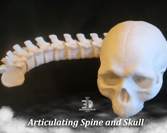 May include: A white articulated human skull and spine, printed in 3D plastic. The skull is facing forward with the spine curved behind it. The text "Articulating Spine and Skull" is printed below the image.