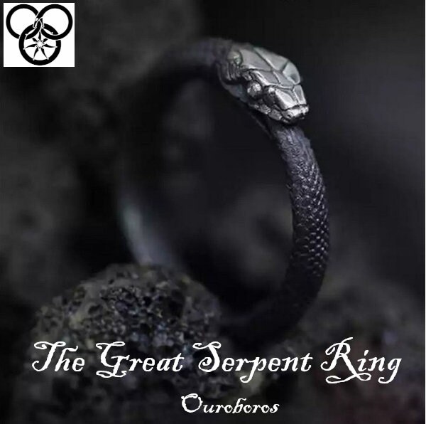 Ouroboros snake ring | Stainless steel metal | Wheel of time | Aes Se…