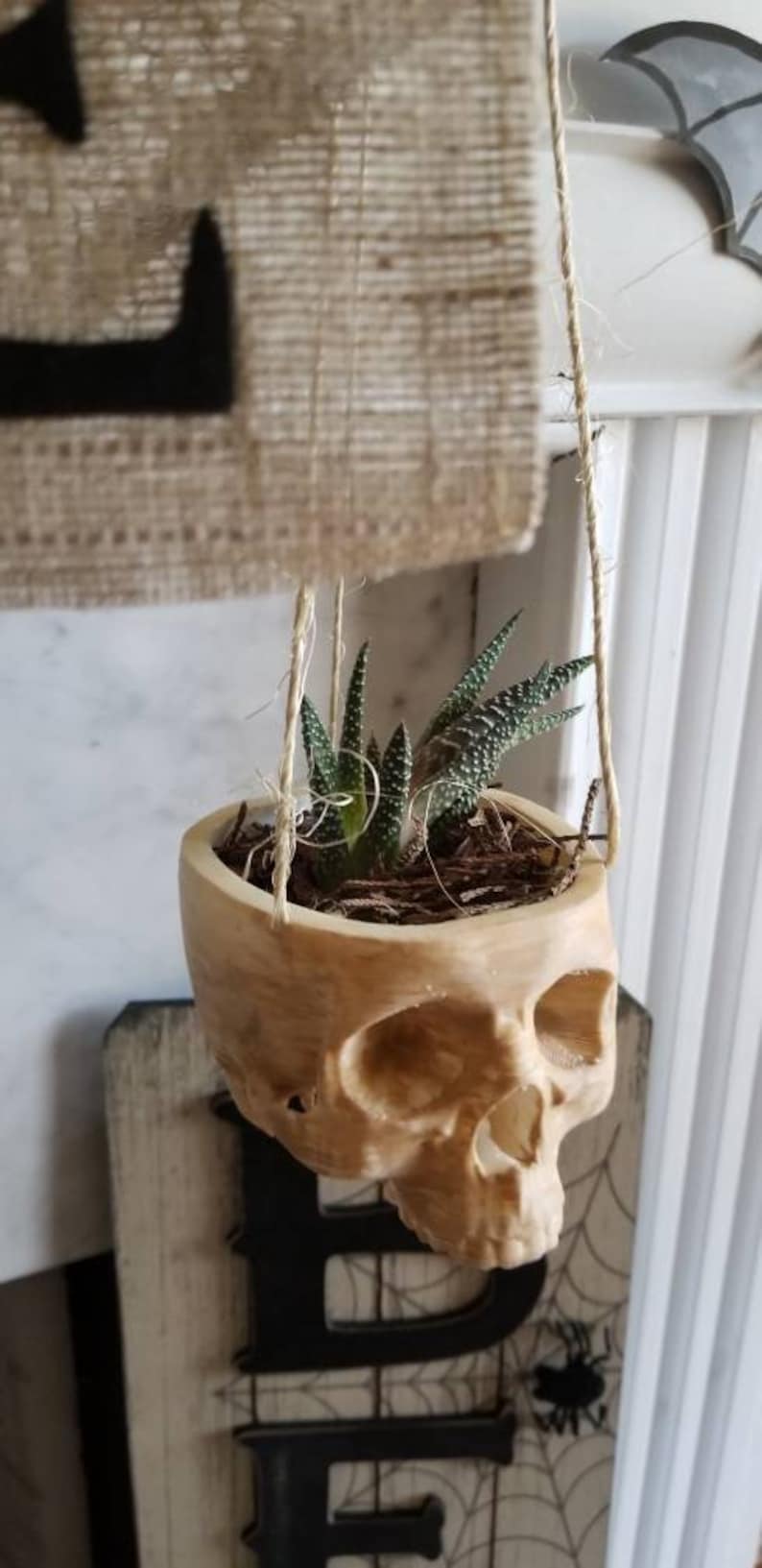 May include: A hanging planter shaped like a skull made of light brown wood with a small succulent plant growing inside.