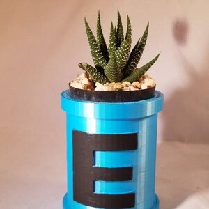May include: A blue planter with the letter "E" printed on the side. The planter is filled with small white rocks and a green succulent plant.