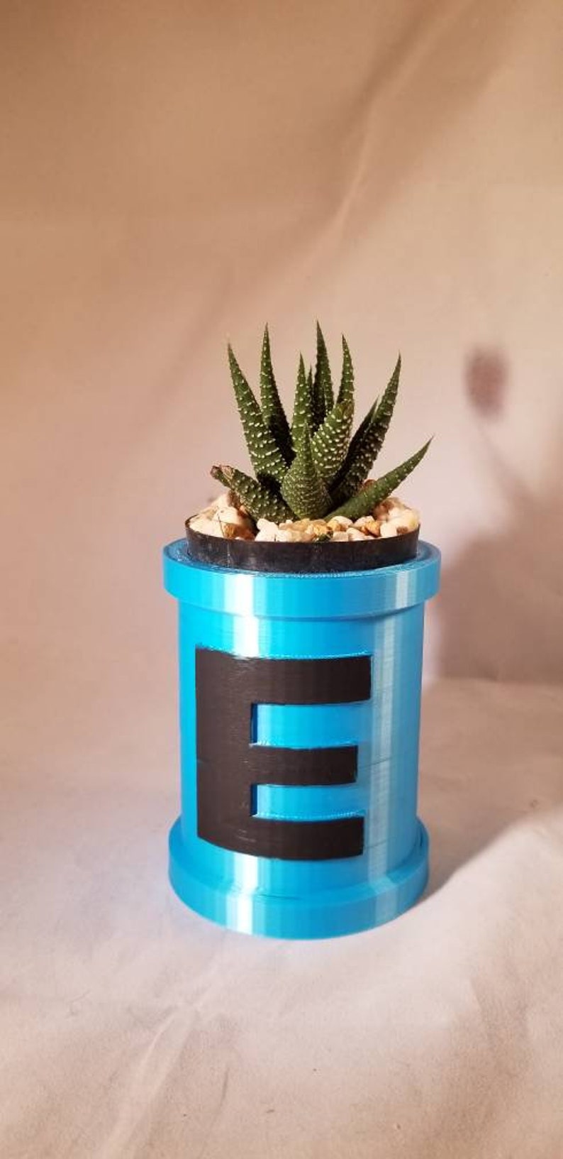 May include: A blue planter with the letter "E" printed on the side. The planter is filled with small white rocks and a green succulent plant.