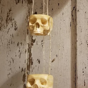 May include: Two white ceramic skull planters hanging from a string. The skulls have detailed features and are suspended from a white string.