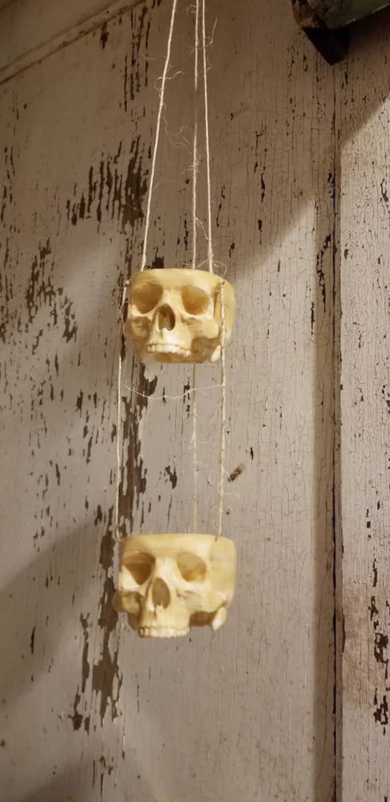 May include: Two white ceramic skull planters hanging from a string. The skulls have detailed features and are suspended from a white string.