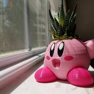 May include: A pink 3D printed planter shaped like a cartoon character with a green succulent plant growing out of the top.