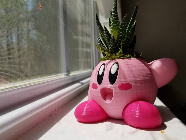May include: A pink 3D printed planter shaped like a cartoon character with a green succulent plant growing out of the top.