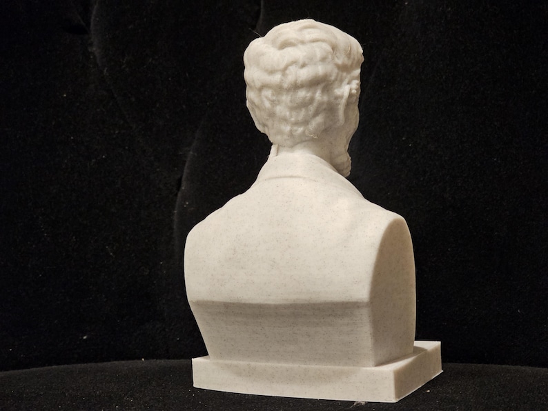 May include: White marble bust sculpture of a man with short hair, viewed from the back. The bust is on a white base.