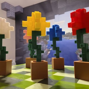 May include: Four colourful block flowers in pots. The flowers are white, yellow, blue, and red. The pots are brown.