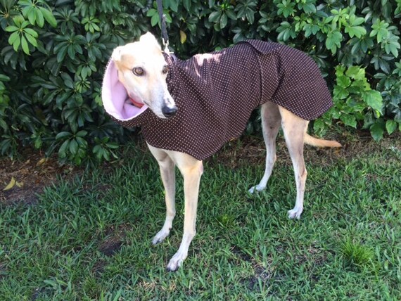 tweed greyhound coat