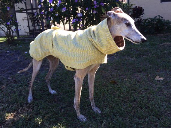 tweed greyhound coat