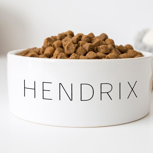 Dog Bowl With Name Custom Pet Food Bowl Personalized Dog Etsy
