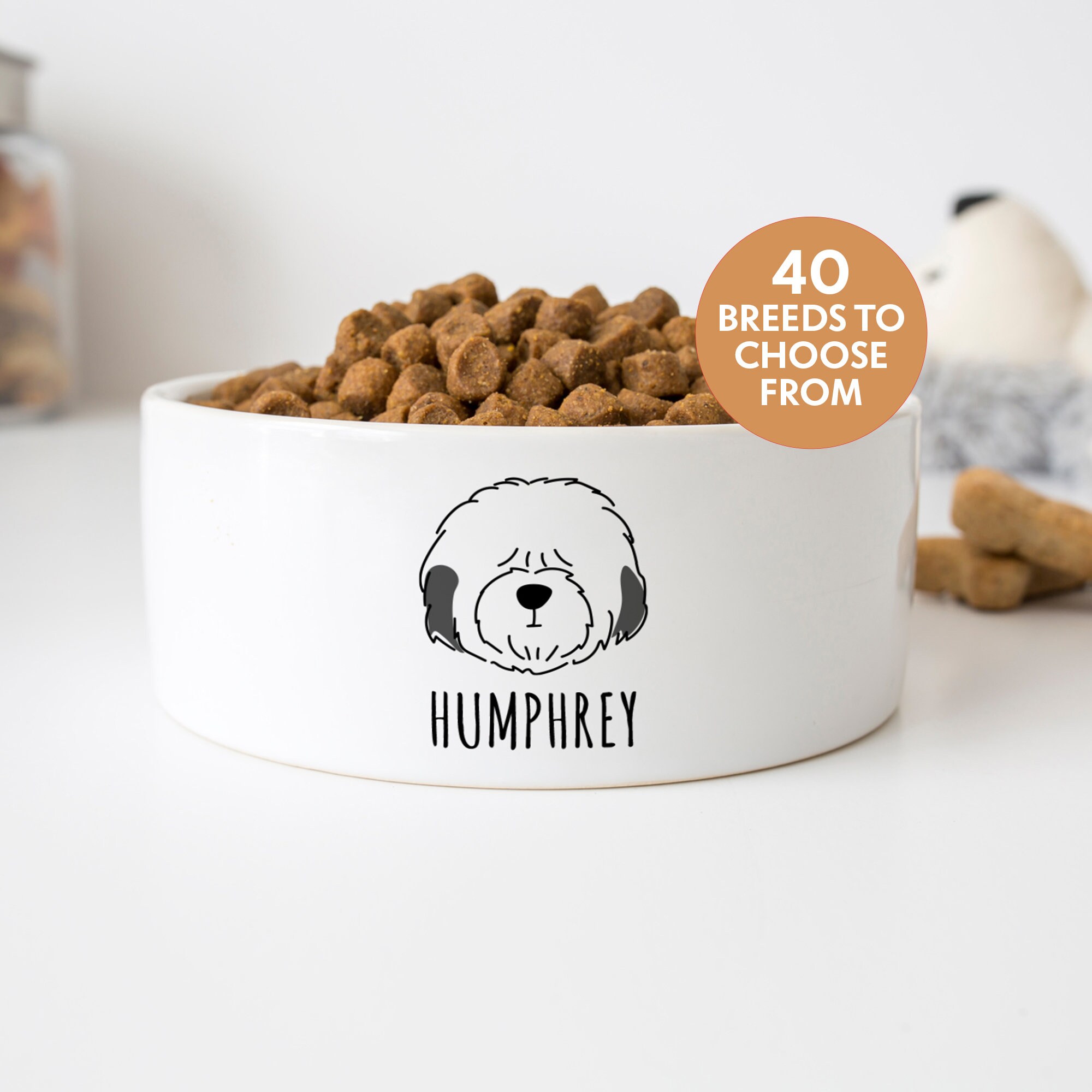 How Do I Choose A Dog Bowl