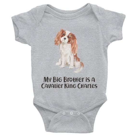 cavalier king charles spaniel clothes