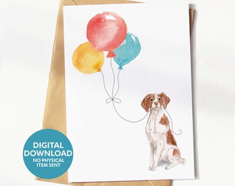 Carte d'anniversaire imprimable pour chien de Bretagne, carte de voeux pour amoureux des chiens, téléchargement numérique, imprimez-vous à la maison