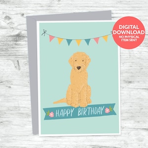Goldendoodle Geburtstagskarte