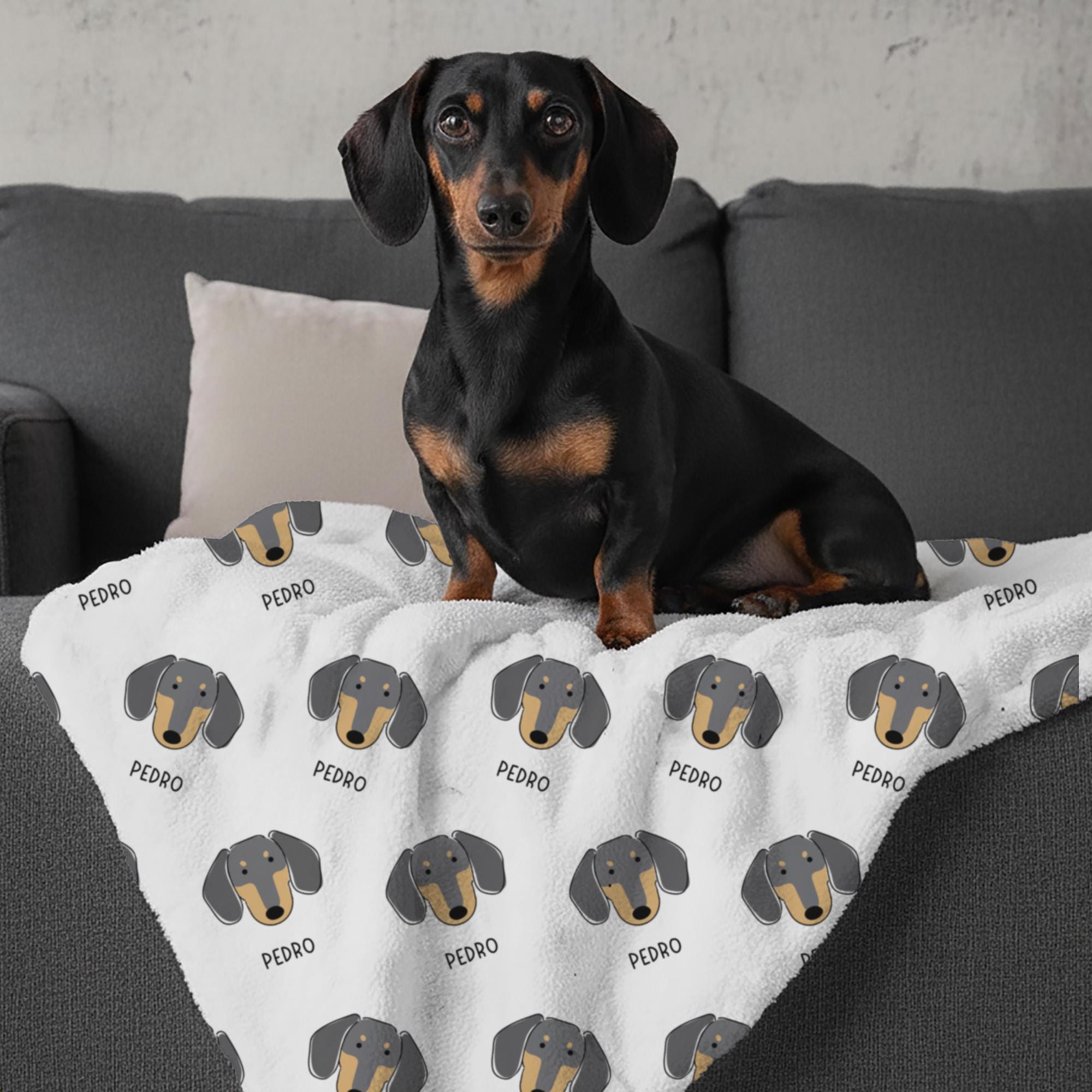 Dachshund Blanket