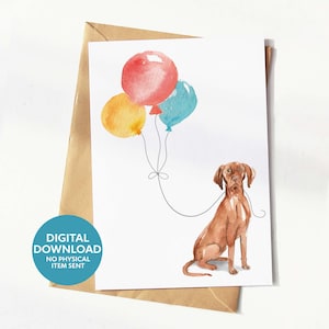 Carte d'anniversaire imprimable pour chien Vizsla, carte de voeux pour amoureux des chiens, téléchargement numérique, imprimez-vous à la maison