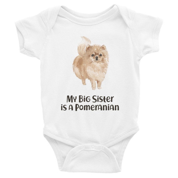 Pomerania Ropa De Bebe Perro Etsy Pomerania Ropa De Bebe Perro Etsy