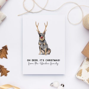 Personalized Dog Christmas Cards Set, Cattle Dog Cards Pack Of 10, Family Greeting Cards, Personalized Stationery