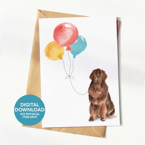 Cartão de aniversário para cachorro de Newfoundland para impressão, cartão de felicitações para amantes de cachorros, download digital, imprima você mesmo em casa
