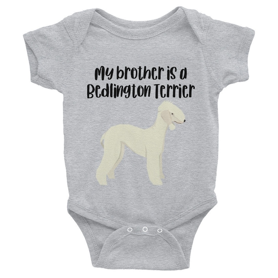 bedlington terrier clothing