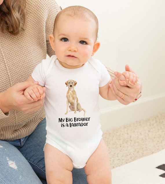 Golden Labrador Baby Onesie New Born Baby Clothes Baby Shower Gift Cute Dog Baby Bodysuit Gift for New Baby Etsy Canada