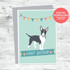 Bull terrier dog birthday card
