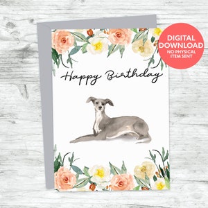 Cartão de feliz aniversário para cachorro Greyhound para imprimir