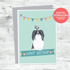 Shih Tzu dog birthday card