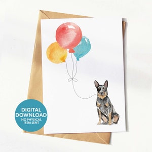 Printable Cattle Dog birthday card, greeting card for dog lover, digital download, print yourself at home