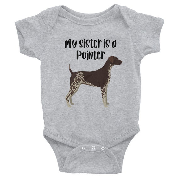 baby pointer dog