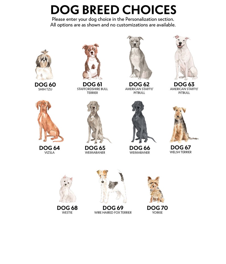 Personalized Dog Christmas Cards Set Red Pickup Truck Pack of Etsy