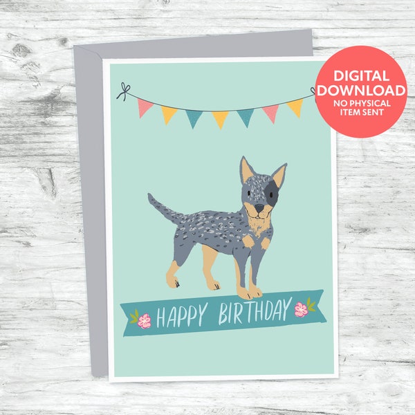 Australian cattle dog birthday card