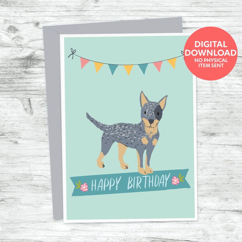 Australian Cattle Dog Happy Birthday Cards Do It Yourself