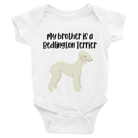 bedlington terrier clothing