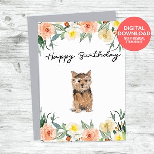 Norfolk terrier dog happy birthday printable card