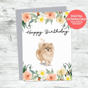 Pomeranian dog printable birthday card