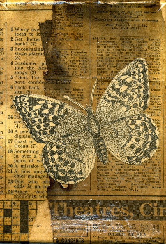 PAPILLON FRAMED ART, Paper Butterfly Art