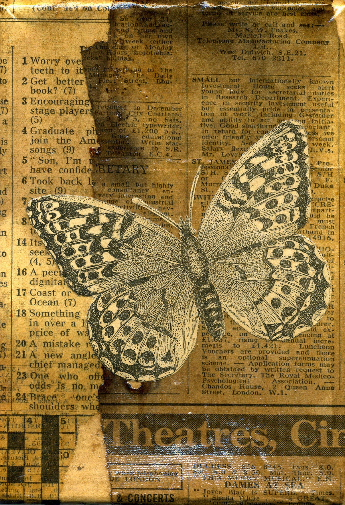 【Edition.10】Fly フライ 直書サイン入り artwork Edition.10】Fly フライ 直書サイン入り artwork