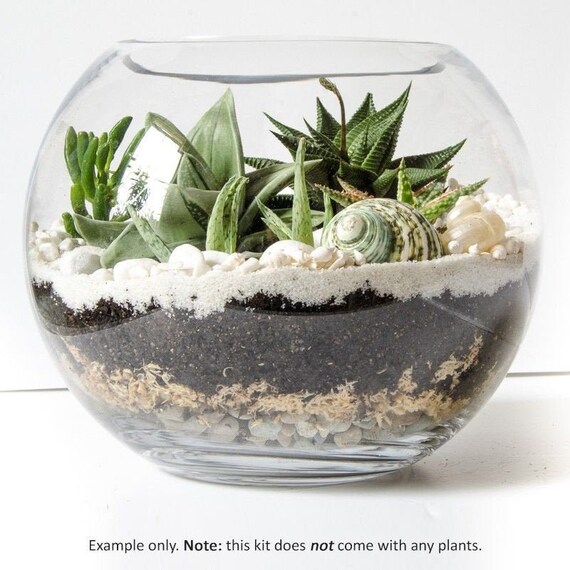 Diy Terrarium Kit Large With Glass Bowl Decor - Large Glass Terrarium Bowl Diy Terrarium Kit Large With Glass Bowl Decor - Large Glass Terrarium Bowl
