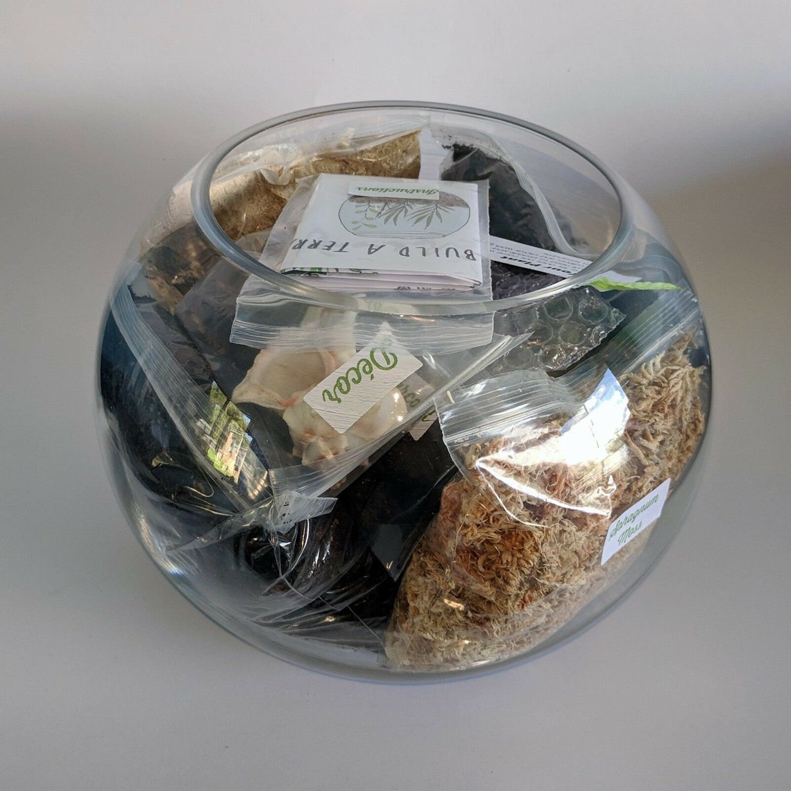 DIY Terrarium Kit EXTRALARGE With Glass Bowl Decor Etsy Australia