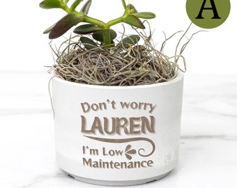 Personalized Desk Plant / Indoor Plant / Funny Gift