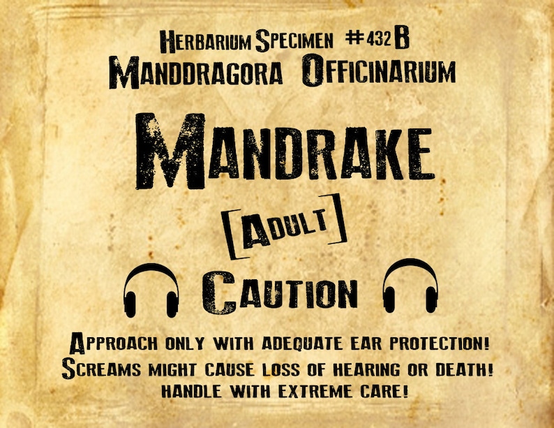 Printable Mandrake Harry Potter Label