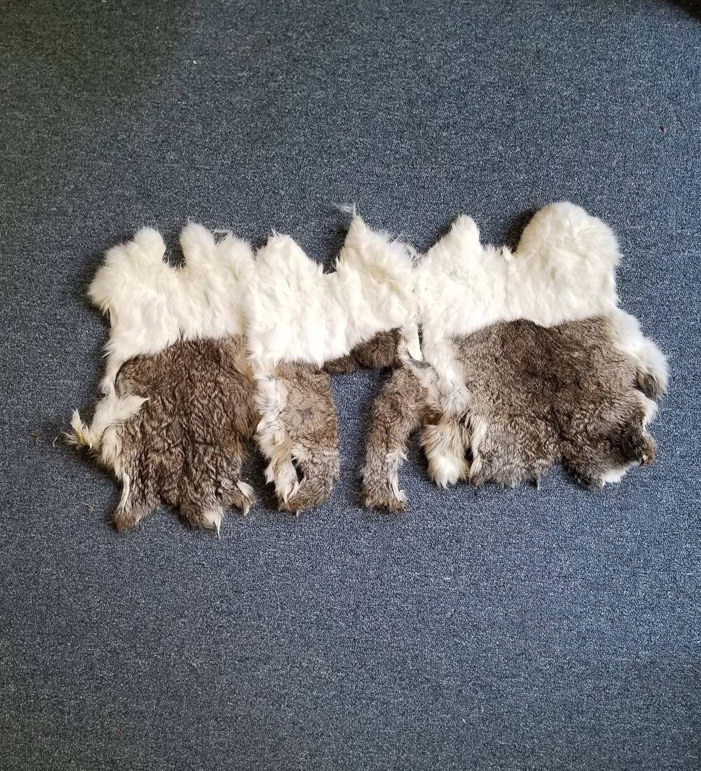 Craft Rabbit Pelts real rabbit fur sewing fly tying tanned Etsy