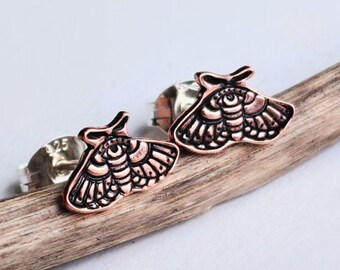 Copper Moth Stud Earrings on Sterling Silver Posts ~ Tiny Insect Studs ~ Nature Inspired Jewellery ~ 7th Wedding Anniversary Gift