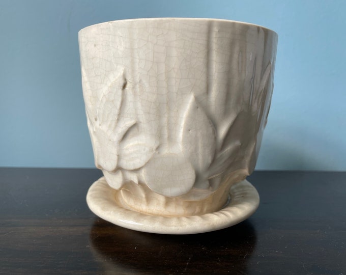 Sand Dollar Planter, Tall || Café Au Lait