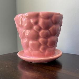 May include: A pink ceramic planter with a textured, pebble-like design. The planter has a matching saucer.