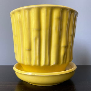 May include: A yellow ceramic planter with a ribbed design. The planter has a matching saucer.