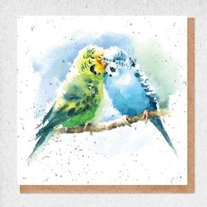 Pintura de acuarela de bellas artes, hermosa tarjeta, periquito, pareja, amoroso, tarjeta de cumpleaños, tarjeta de regalo, agradecimiento, tarjeta de amistad, naturaleza