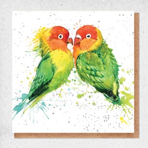 hermosos pájaros, pintura de acuarela de bellas artes, tarjeta encantadora, pájaros del amor, colorido, pareja, tarjeta de cumpleaños, tarjeta de regalo, gracias, tarjeta de amistad